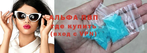 apvp Вяземский