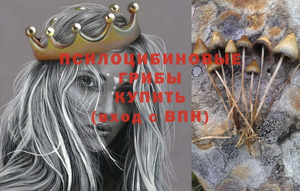 Альфа ПВП Вязники