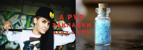 apvp Вяземский